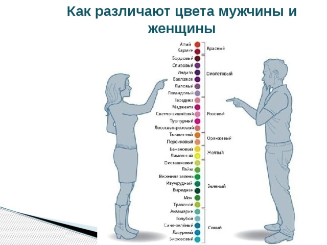 Как различают цвета мужчины и женщины 