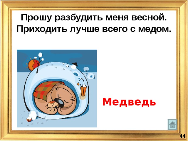 Прошу не будить. Разбудите меня весной. В марте в берлогах просыпаются. Медведь вставай Весна пришла. Медведи начинают просыпаться.