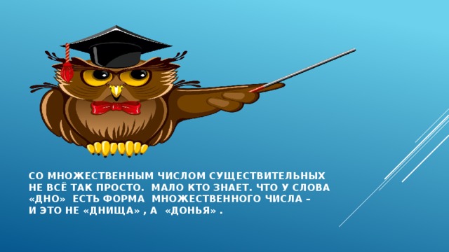 Со множественным числом существительных  не всё так просто. Мало кто знает. Что у слова  «дно» есть форма множественного числа –  и это не «днища» , а «донья» . 