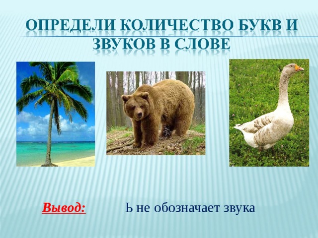 Вывод:  Ь не обозначает звука 