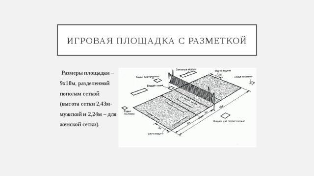 Игровая площадка с разметкой  Размеры площадки – 9х18м, разделенной пополам сеткой (высота сетки 2,43м- мужской и 2,24м – для женской сетки). 