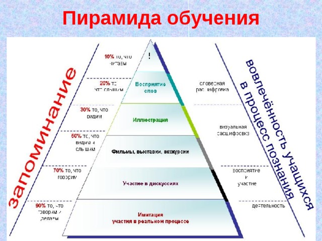 Картинка пирамида обучения