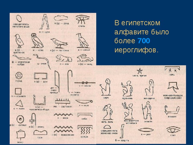 В египетском алфавите было более 700 иероглифов.