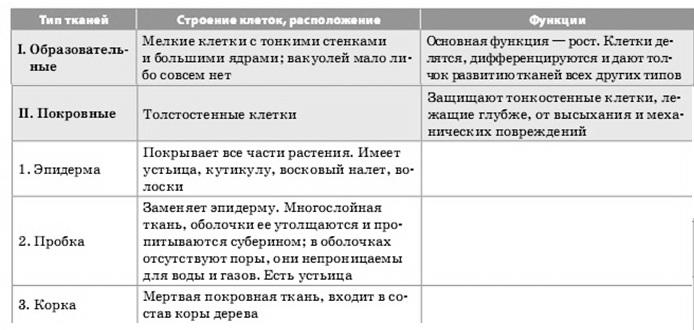 Ткани растений таблица