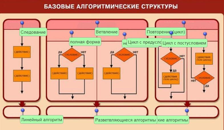 Картинки с выставки строение цикла