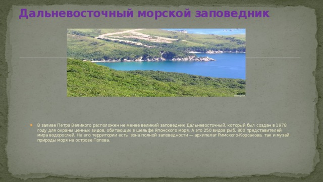 Дальневосточный морской заповедник презентация