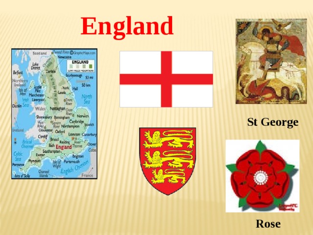 England St George Rose 
