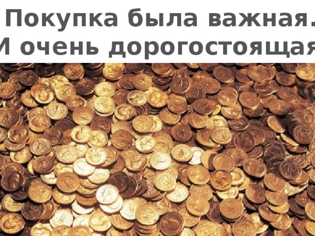 Покупка была важная. И очень дорогостоящая. 