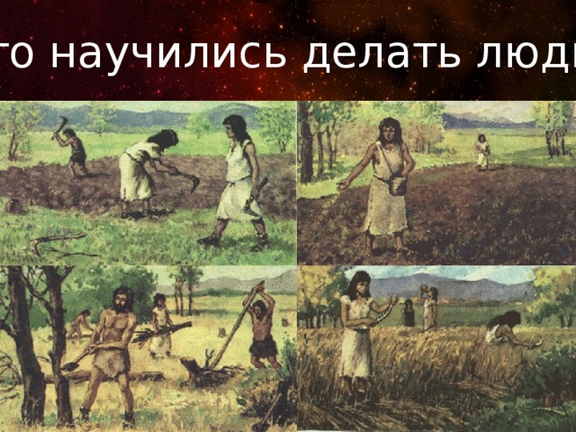 Что научились делать люди? 