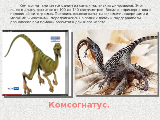 Как выглядят самые маленькие динозавры Презентация к докладу к научно-практической конференции "В мире науки" на тему" 