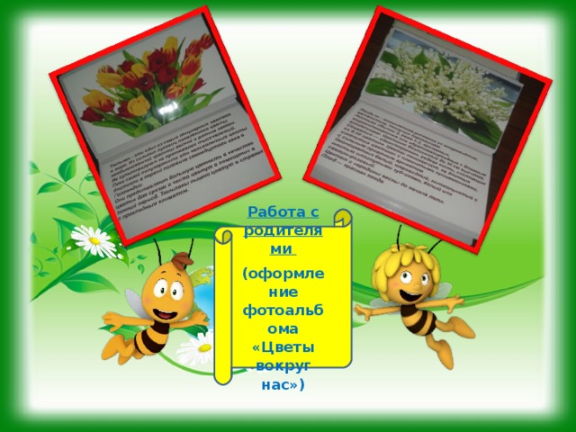 Работа с родителями (оформление фотоальбома «Цветы вокруг нас»)  