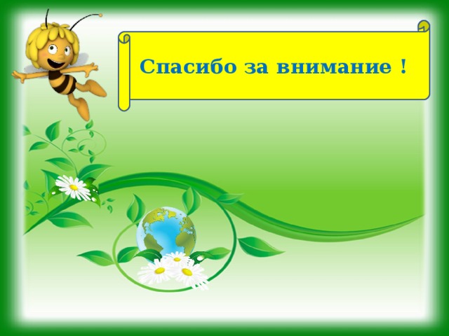 Спасибо за внимание !  