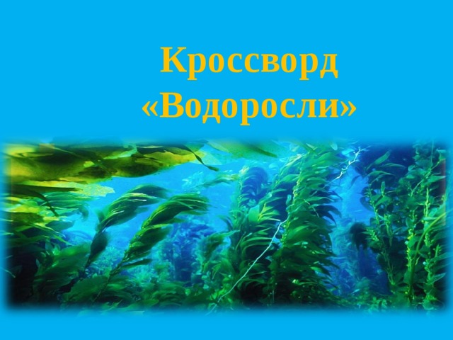 Водоросль сканворд