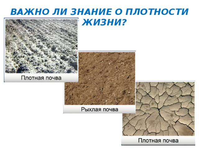 ВАЖНО ЛИ ЗНАНИЕ О ПЛОТНОСТИ В ЖИЗНИ? 