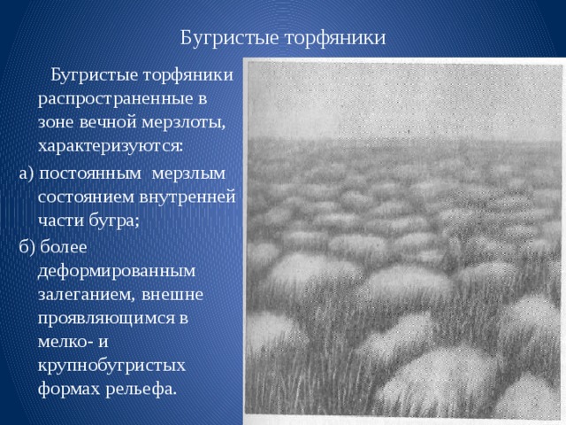 Рельеф созданный посредством деятельности многолетней мерзлоты