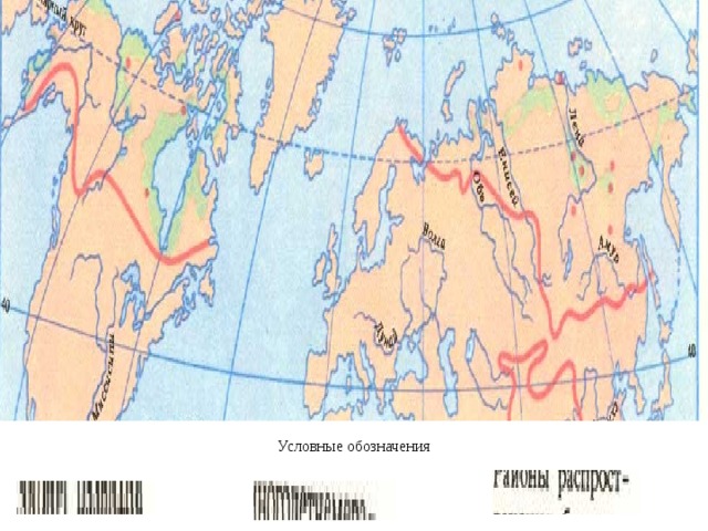 Рельеф многолетней мерзлоты