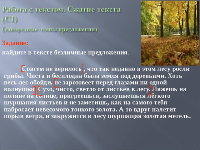 Задание:  найдите в тексте безличные предложения .   Совсем не верилось , что так недавно в этом лесу росли грибы. Чиста и бесплодна была земля под деревьями. Хоть весь лес обойди, не зарозовеет перед глазами ни одной волнушки. Сухо, чисто, светло от листьев в лесу. Ляжешь на поляне на солнце, пригреешься, заслушаешься лёгкого шуршания листьев и не заметишь, как на самого тебя набросает невесомого тонкого золота. А то вдруг налетит порыв ветра, и закружится в лесу шуршащая золотая метель.   