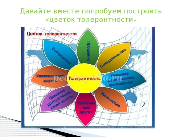 Цветок толерантности картинка