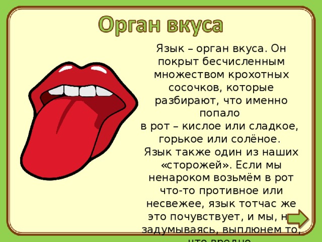 Язык танца язык запахов язык движения план текста из трех пунктов