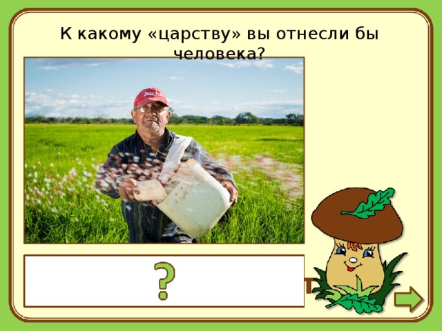 К какому царству относится человек. Какому царству вы отнесли человека. В каком царстве человек.