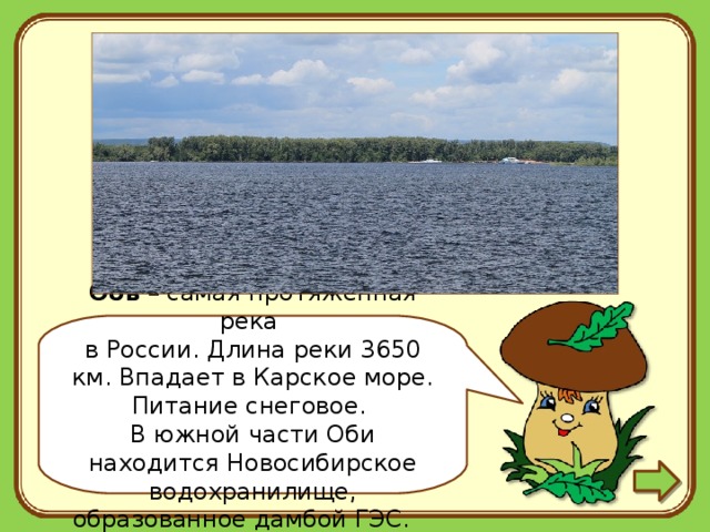 Обь – самая протяжённая река  в России. Длина реки 3650 км. Впадает в Карское море. Питание снеговое.  В южной части Оби находится Новосибирское водохранилище, образованное дамбой ГЭС. 