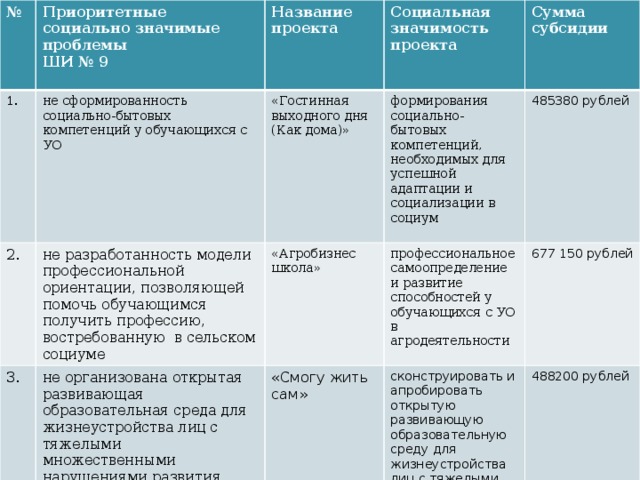 № Приоритетные социально значимые проблемы 1. ШИ № 9 Название проекта 2. не сформированность социально-бытовых компетенций у обучающихся с УО  не разработанность модели профессиональной ориентации, позволяющей помочь обучающимся получить профессию, востребованную в сельском социуме «Гостинная выходного дня (Как дома)» Социальная значимость проекта 3. формирования социально-бытовых компетенций, необходимых для успешной адаптации и социализации в социум не организована открытая развивающая образовательная среда для жизнеустройства лиц с тяжелыми множественными нарушениями развития Сумма субсидии «Агробизнес школа» «Смогу жить сам» профессиональное самоопределение и развитие способностей у обучающихся с УО в агродеятельности 485380 рублей сконструировать и апробировать открытую развивающую образовательную среду для жизнеустройства лиц с тяжелыми множественными нарушениями развития 677 150 рублей 488200 рублей 