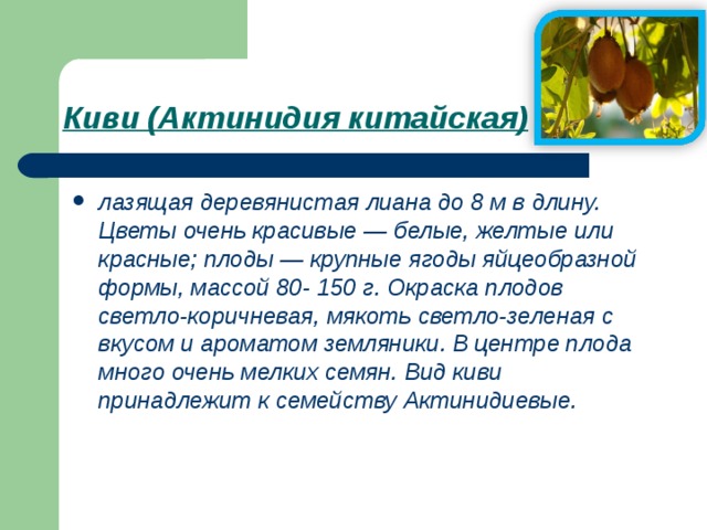 Киви (Актинидия китайская)  лазящая деревянистая лиана до 8 м в длину. Цветы очень красивые — белые, желтые или красные; плоды — крупные ягоды яйцеобразной формы, массой 80- 150 г. Окраска плодов светло-коричневая, мякоть светло-зеленая с вкусом и ароматом земляники. В центре плода много очень мелких семян. Вид киви принадлежит к семейству Актинидиевые. 