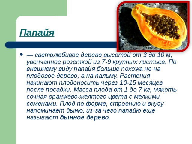 Папайя  — светолюбивое дерево высо­той от 3 до 10 м, увенчанное розеткой из 7-9 крупных листьев. По внешнему виду папайя больше похожа не на плодовое дерево, а на пальму. Растения начинают плодоносить через 10-15 месяцев после посадки. Масса плода от 1 до 7 кг, мякоть сочная оранжево-желтого цвета с мелкими семенами. Плод по форме, строению и вкусу напоминает дыню, из-за чего папайю еще называют дынное дерево. 