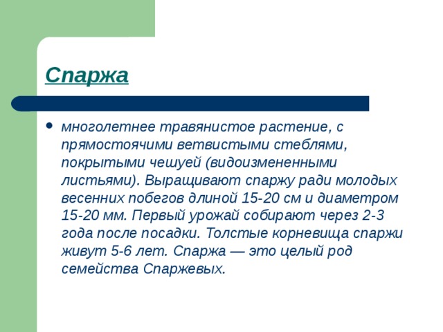 Спаржа  многолетнее травянистое растение, с прямостоячими ветвистыми стеблями, покрытыми чешуей (видоизмененными листьями). Выращивают спаржу ради молодых весенних побегов длиной 15-20 см и диаметром 15-20 мм. Первый урожай собирают через 2-3 года после посадки. Толстые корневища спаржи живут 5-6 лет. Спаржа — это целый род семейства Спаржевых. 