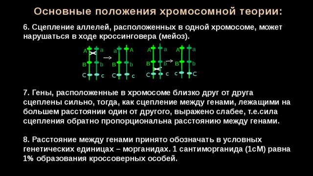 Гены расположенные в одной хромосоме