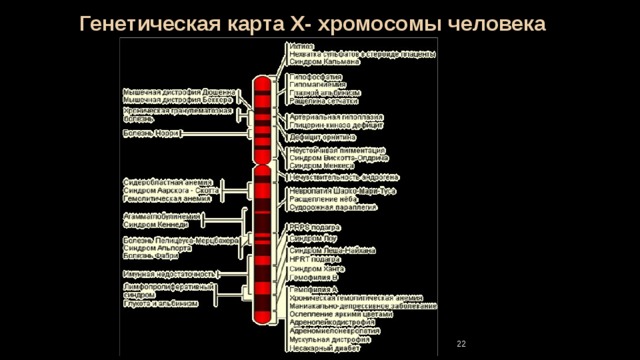 Генетическая карта анализ