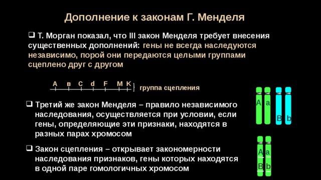 Сцепленное наследование признаков закон т моргана презентация 9 класс