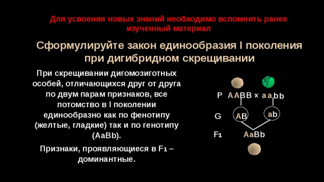 Закономерности наследования дигибридное скрещивание презентация