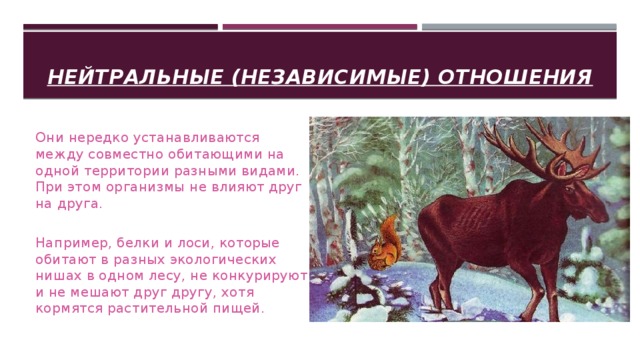 Совместное обитание животных разных видов презентация 7 класс