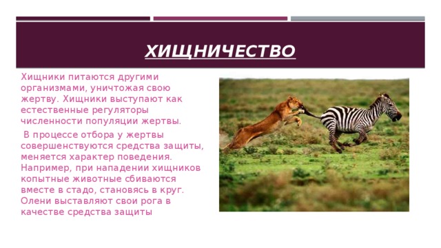 Презентация на тему хищничество