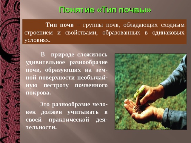 Понятие «Тип почвы»  Тип почв – группы почв, обладающих сходным строением и свойствами, образованных в одинаковых условиях.  В природе сложилось удивительное разнообразие почв, образующих на зем-ной поверхности необычай-ную пестроту почвенного покрова.  Это разнообразие чело-век должен учитывать в своей практической дея-тельности. 