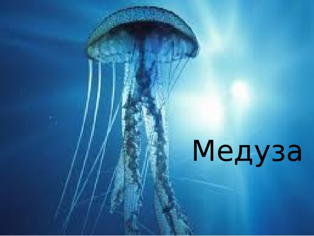 Медуза  