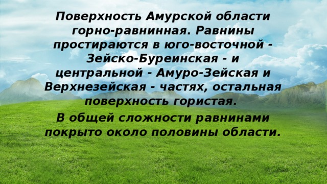 Поверхность Амурской области горно-равнинная. Равнины простираются в юго-восточной - Зейско-Буреинская - и центральной - Амуро-Зейская и Верхнезейская - частях, остальная поверхность гористая. В общей сложности равнинами покрыто около половины области. 