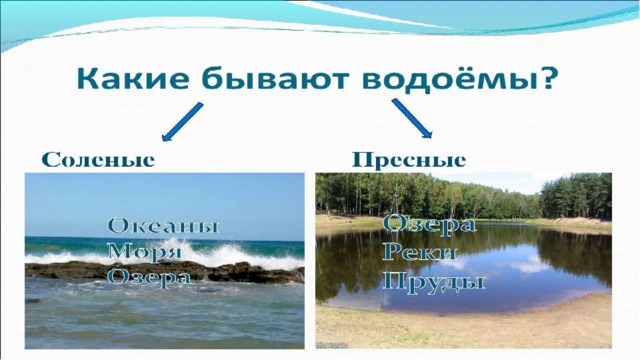 Какие бывают водоемы презентация