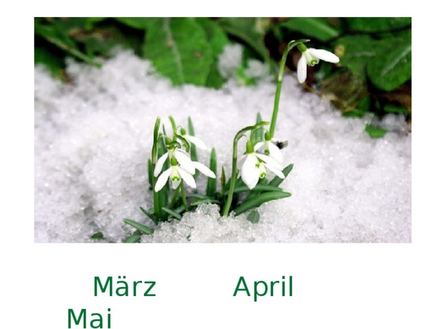  März April Mai 