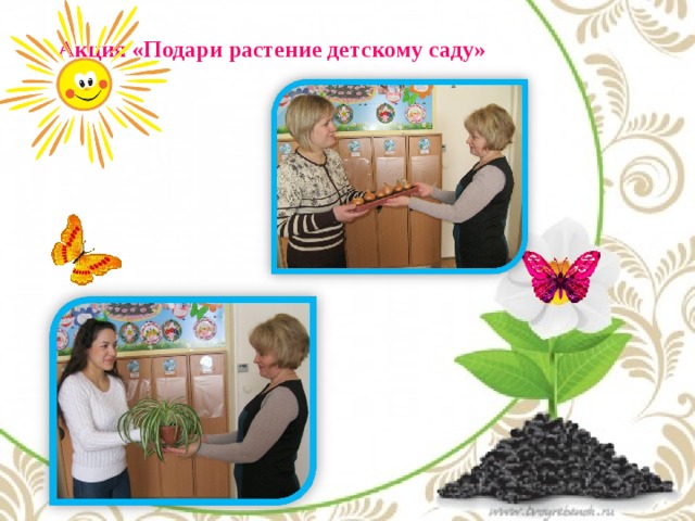 Презентация наши друзья растения