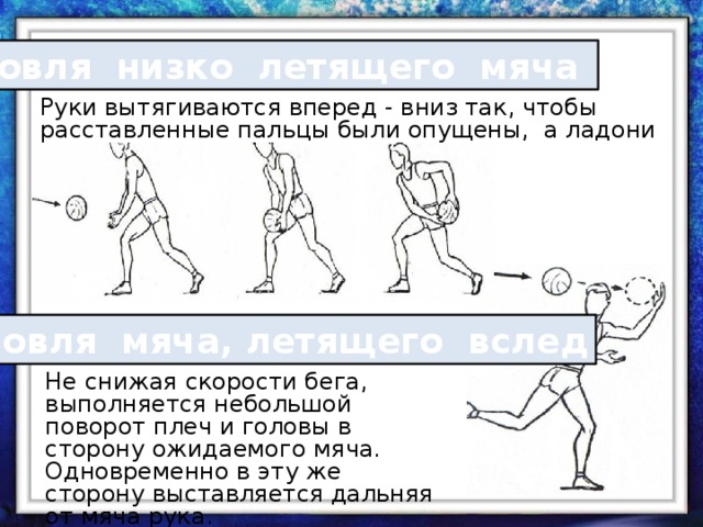 какие стойки есть в баскетболе. Смотреть фото какие стойки есть в баскетболе. Смотреть картинку какие стойки есть в баскетболе. Картинка про какие стойки есть в баскетболе. Фото какие стойки есть в баскетболе