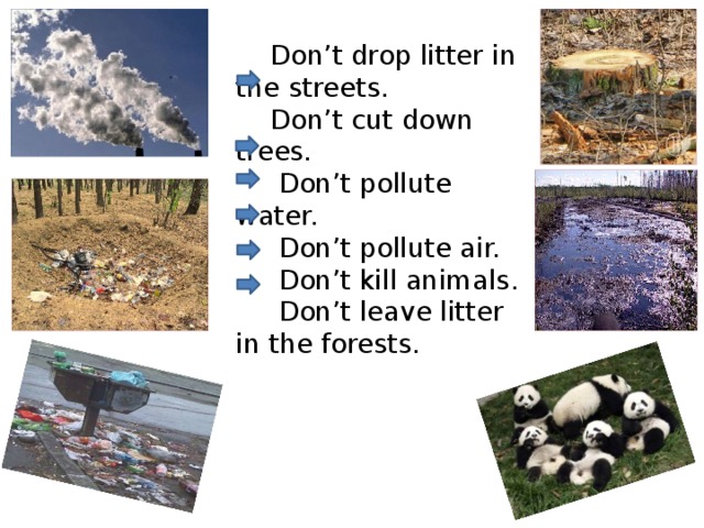  Don’t drop litter in the streets.  Don’t cut down trees.  Don’t pollute water.  Don’t pollute air.  Don’t kill animals.  Don’t leave litter in the forests.     