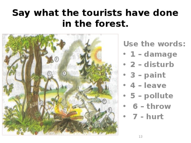 Say what the tourists have done in the forest. Use the words: 1 – damage 2 – disturb 3 – paint 4 – leave 5 – pollute  6 – throw  7 - hurt  