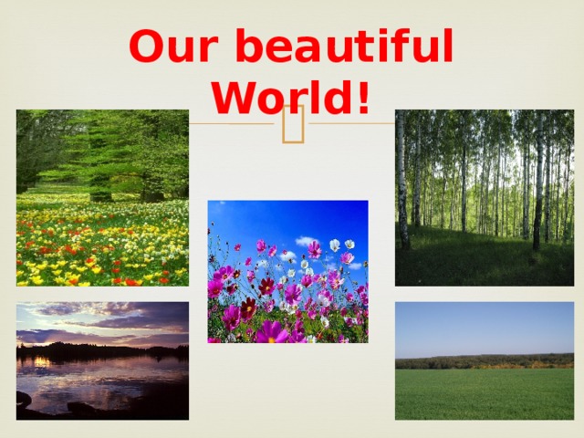 Our beautiful World! 