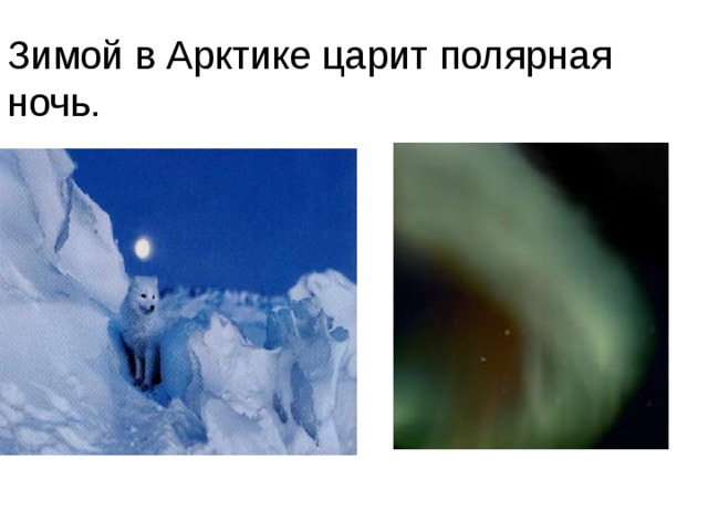 Зимой в Арктике царит полярная ночь. 
