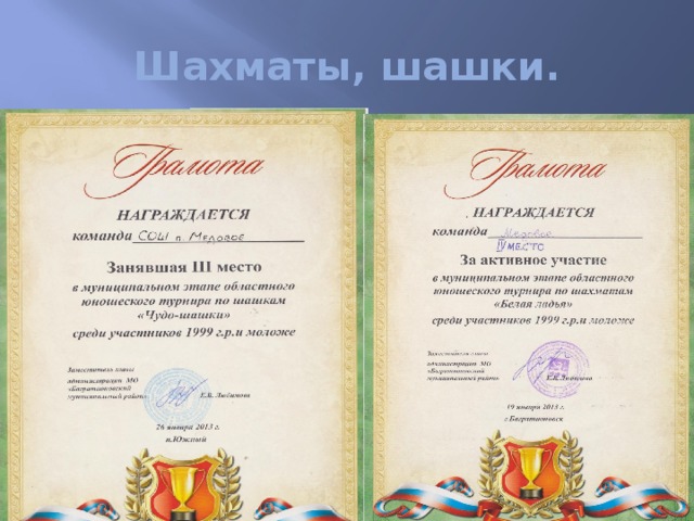 Шахматы, шашки. 