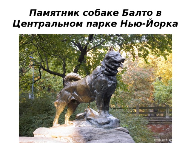 Памятник собаке Балто в Центральном парке Нью-Йорка 