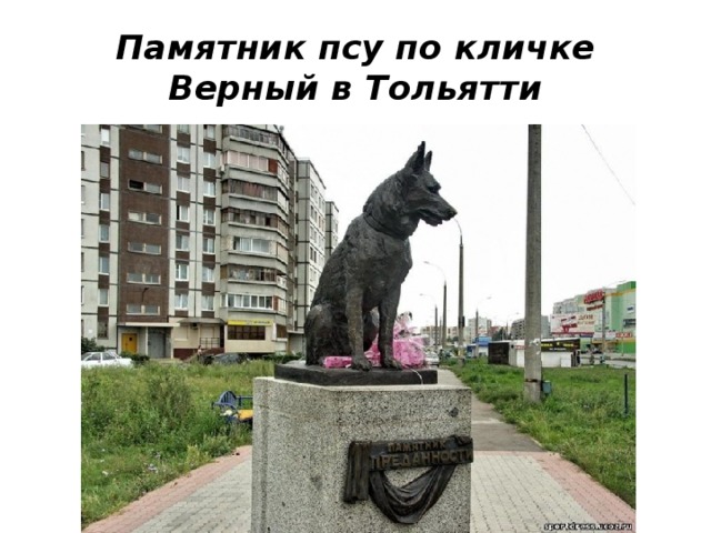 Памятник псу по кличке Верный в Тольятти 