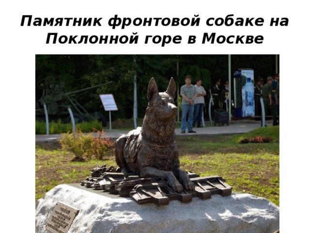 Памятник фронтовой собаке на Поклонной горе в Москве 